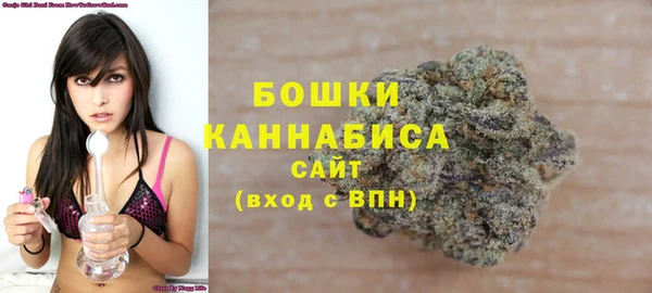 ECSTASY Бронницы