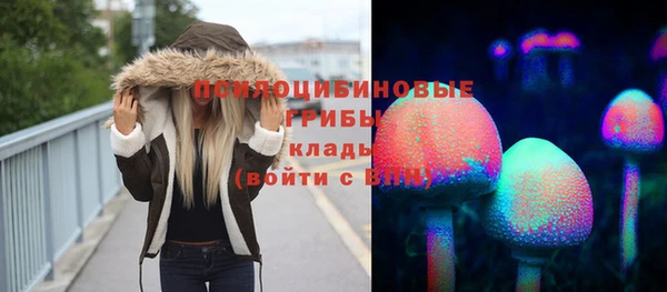 мдма Бородино