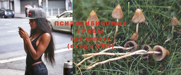 ECSTASY Бронницы