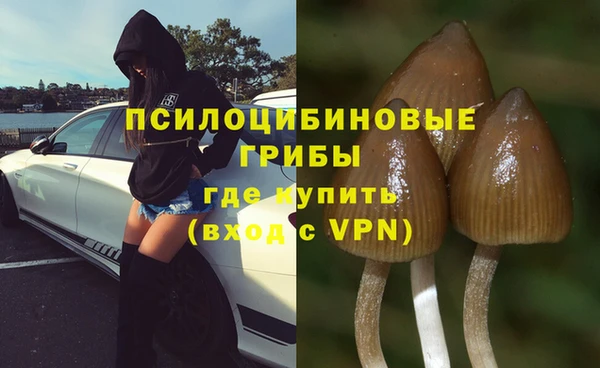 ECSTASY Бронницы